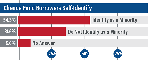 Survey Borrowers Self Identify